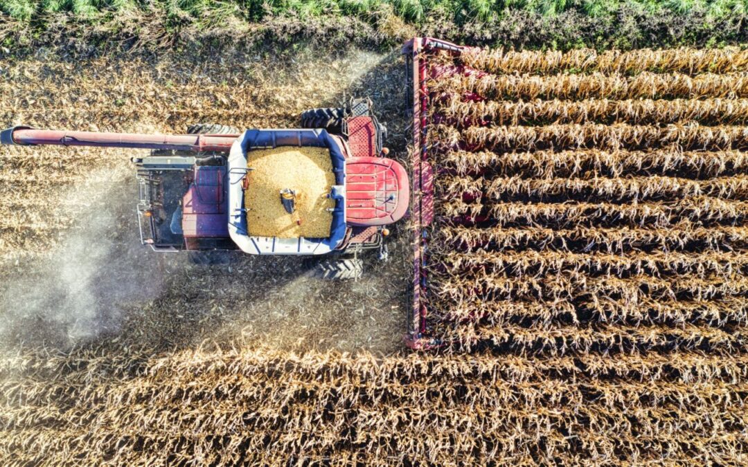 Managing Farm Fuel Costs and Supply in North Wales: Strategies for Agricultural Businesses