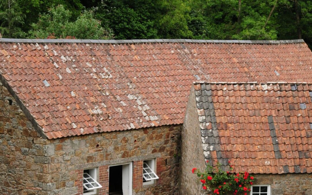 Flat Roofs vs Pitched Roofs: Which Is Right for Your Property